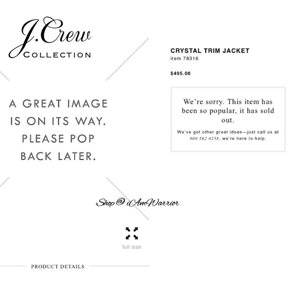 J.Crew Collection Sand Embellished Sequin Statement Blazer *shop@iamwarrior